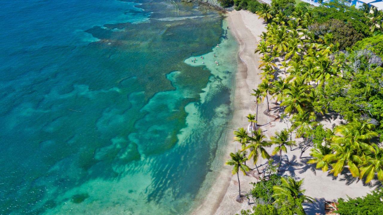 Senator Puerto Plata 호텔 외부 사진 Aerial view of the beach
